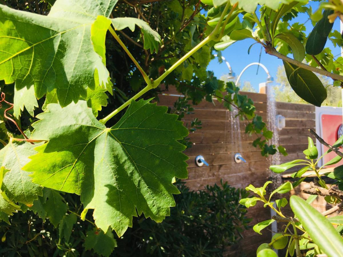 Casa Namaste Bed and Breakfast Porto Columbu - Perd'E Sali Εξωτερικό φωτογραφία
